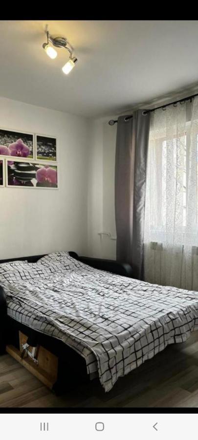 Zenapartment Brassó Kültér fotó
