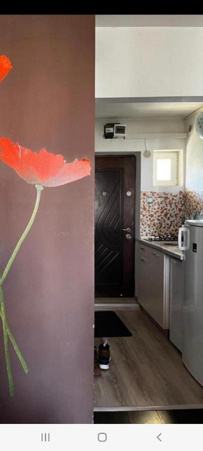 Zenapartment Brassó Kültér fotó